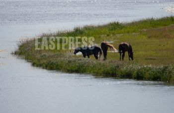 EA338593, Eastpress, Kotka, Finland